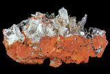 Hemimorphite Crystal Cluster - Chihuahua, Mexico #81133-1